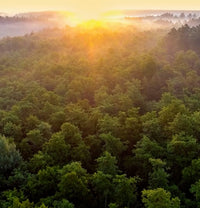 Creating a cleaner world