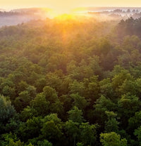 Criando um mundo mais limpo
