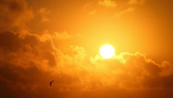 in the heat of the day