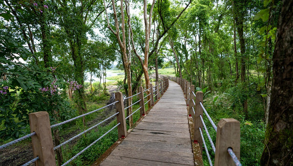 Which National Park is Best to Visit in Summer?