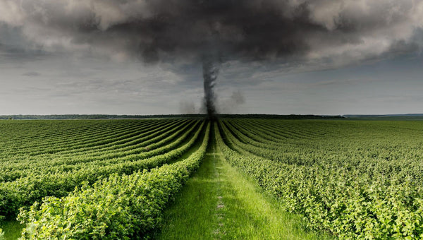 What Is the Difference Between a Tornado Warning and a Tornado Watch?